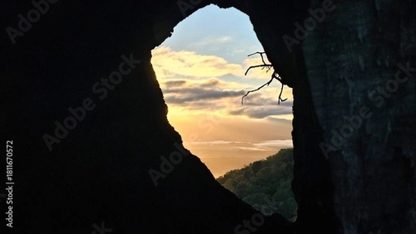 Fototapeta sunrise through a burned out hole in a tree