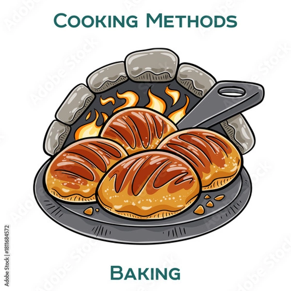 Fototapeta Baking. Cooking methods. Hand-drawn vector illustration.