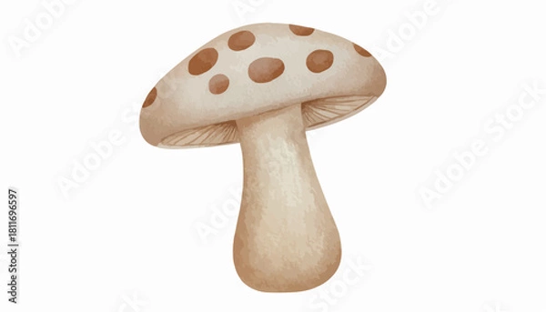 Fototapeta mushroom isolated on white background