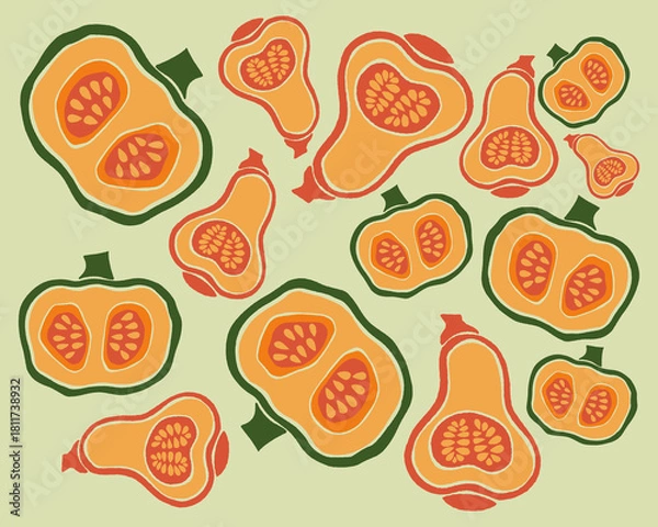 Fototapeta Butternut squash pumpkin cut away pattern garden harvest background layout print art editable