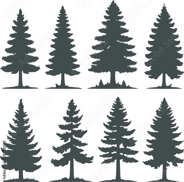 Obraz Collection of eight distinct dark green silhouette illustrations of various evergreen conifer trees, such as pine, spruce, and fir, standing upright