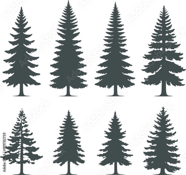 Obraz Collection of eight distinct evergreen tree silhouettes, featuring various shapes and densities of pine, spruce, and fir trees, perfect for nature or forestry graphics