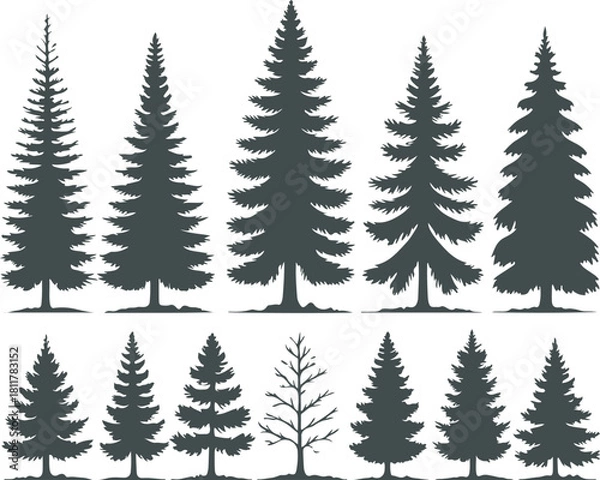 Obraz Collection of ten distinct silhouette illustrations of various evergreen coniferous trees, showcasing different shapes and sizes of pine, spruce, and fir species, perfect for nature graphics