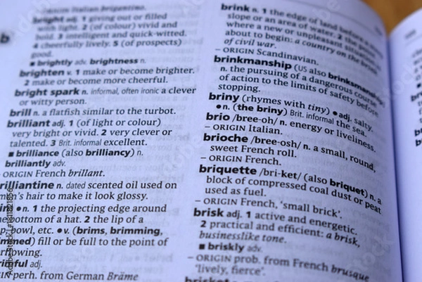 Obraz Close Up Of English Definition Dictionary Page Word Of - brio