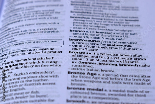 Fototapeta Close Up Of English Definition Dictionary Page Word Of - bronze