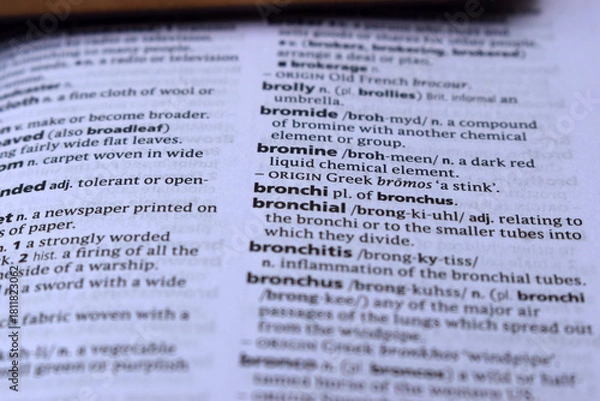 Obraz Definition Of English Dictionary Close Up Of Page With Word - bromine