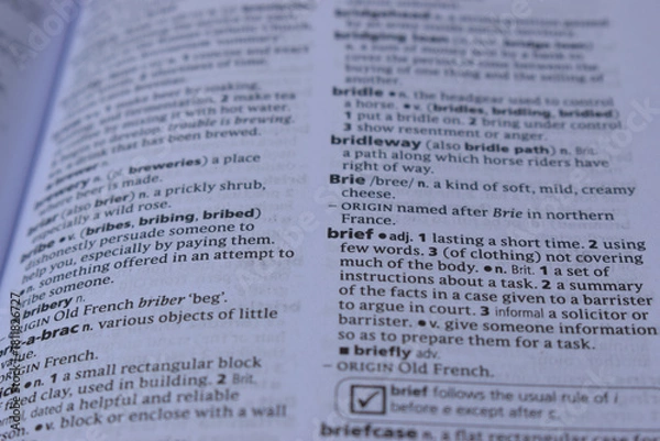 Fototapeta English Dictionary Page Close Up With The Word Meaning Of -brief