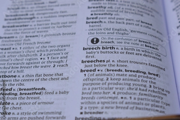 Fototapeta English Dictionary Page Close Up With The Word Of -breech birth