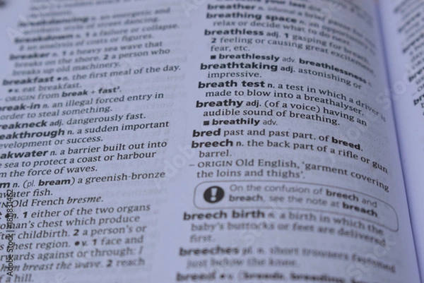 Obraz Definition Of English Dictionary Close Up Of Page With Word - bred