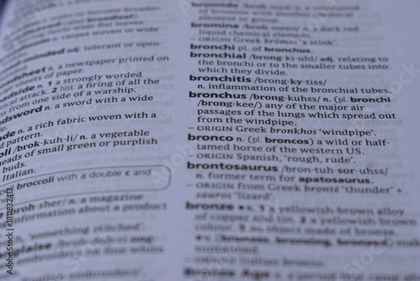 Fototapeta English Dictionary Page Close Up With The Word Meaning Of -bronchus