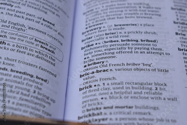 Fototapeta Close Up Of English Definition Dictionary Page Word Of - bribery