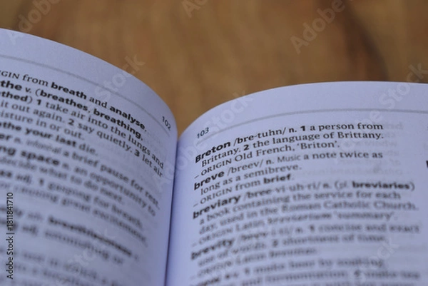 Fototapeta Close Up Of English Definition Dictionary Page Word Of - breve