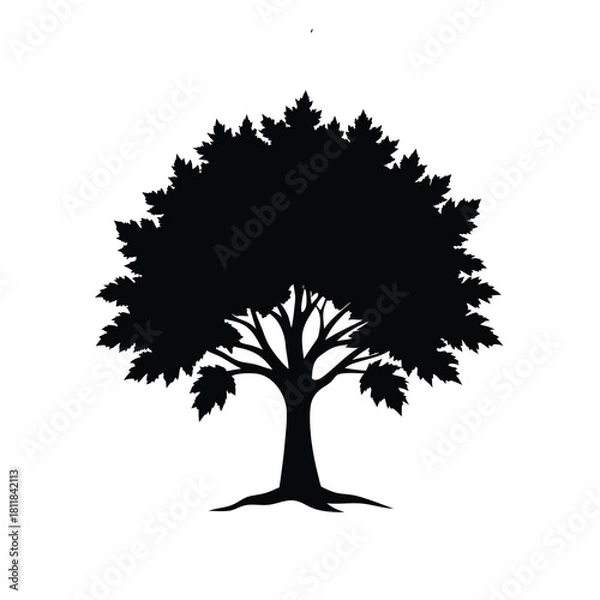 Obraz Stylized maple tree silhouette on a clean white background