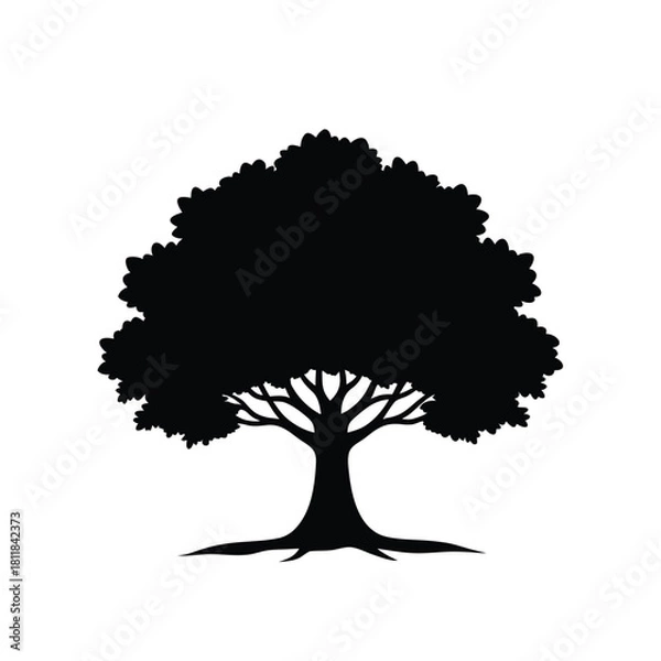 Obraz Majestic oak tree silhouette isolated on white background