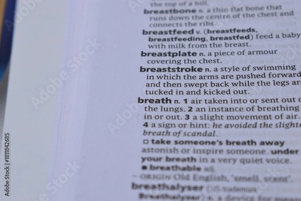 Obraz Definition Of English Dictionary Close Up Of Page With Word -  breaststroke