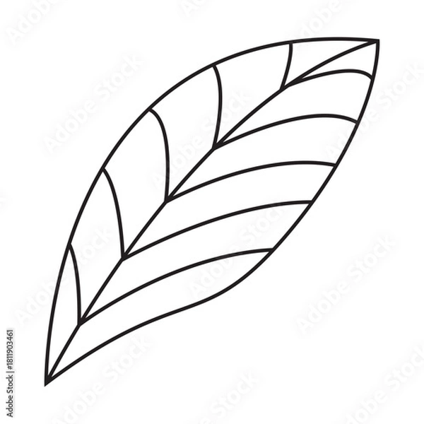 Obraz Clipart Leaf line art, for element design