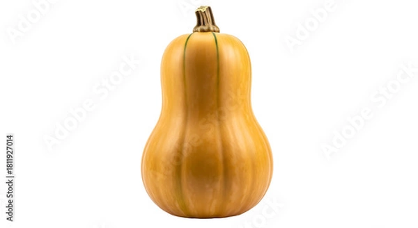 Obraz Butternut squash isolated on transparent background, a winter squash with a sweet, nutty taste, and a versatile ingredient for culinary creations
