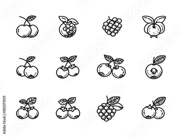 Obraz Ultra Minimalist Blueberry Line Art Icons Set For Modern Design