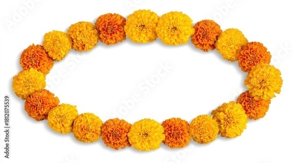 Fototapeta Yellow marigold flower garland in shape of circle on white background, png