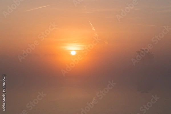 Fototapeta A sunrise over a lake with reed in the front on the side in the Netherlands. The sky is orange and the sun is rising in the middle of the photo.