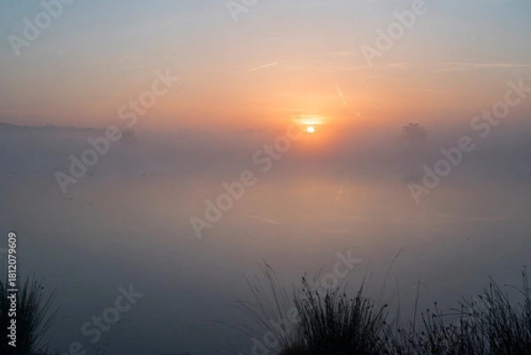 Fototapeta A sunrise over a lake with reed in the front on the side in the Netherlands. The sky is orange and the sun is rising in the middle of the photo. In the background there are silhouettes of trees.
