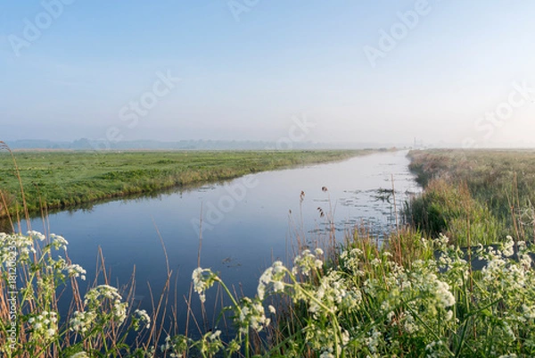 Fototapeta A river with a field of grass and flowers on the banks. The water is calm and the sky is clear in Polder Arkemheen in the Netherlands