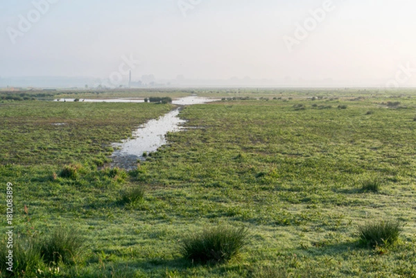 Fototapeta A field of grass and some puddles of water. The sky is foggy in Polder Arkemheen in the Netherlands. In the background the silhouette of the large brick building is visible.