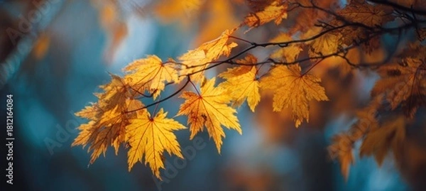 Fototapeta Golden Autumn Leaves - A Serene Branch in the Forest.