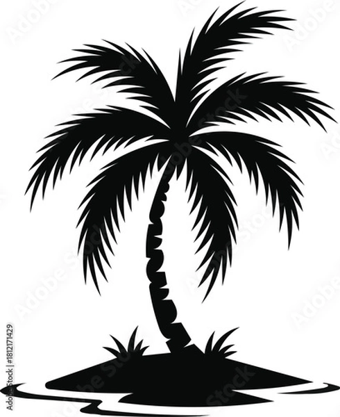 Fototapeta Palm tree vector 