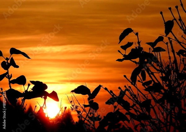 Obraz couché de soleil