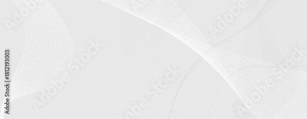 Fototapeta Abstract white and gray flowing lines background minimal texture