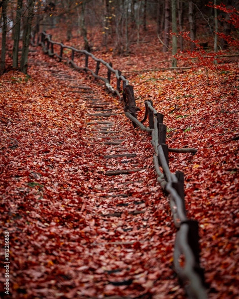 Obraz Autumn’s Fiery Embrace - A Forest Filled with Crimson Leaves