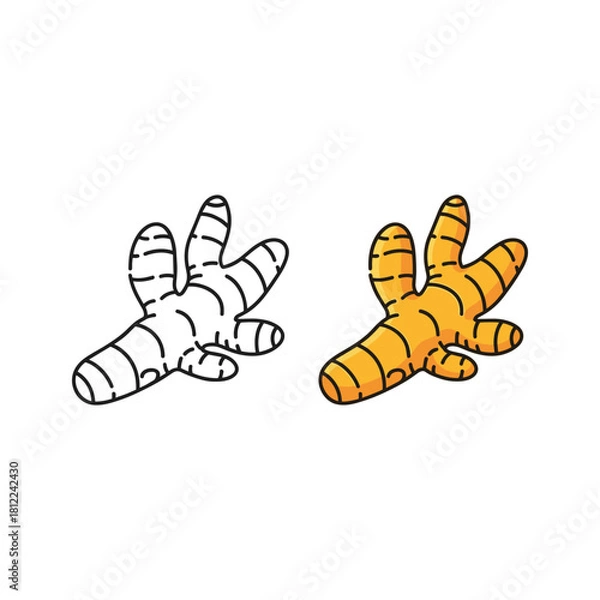 Fototapeta Turmeric root outline and colored cartoon illustration