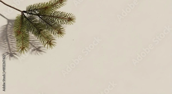 Fototapeta Neutral Beige Background + Minimal Pine Branches