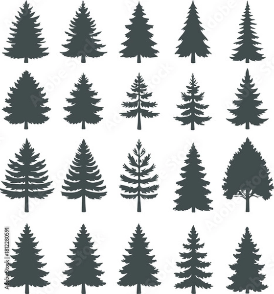 Obraz A collection of twenty distinct silhouette icons representing various types of evergreen coniferous trees, such as pine, spruce, and fir