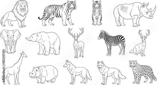 Obraz Detailed Outline Vector Graphics Set of Wild Safari Animals for Education, Wildlife Themes, and Children's Designs.