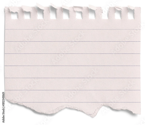 Obraz Small Notepad Half Pink Page Torn Lined
