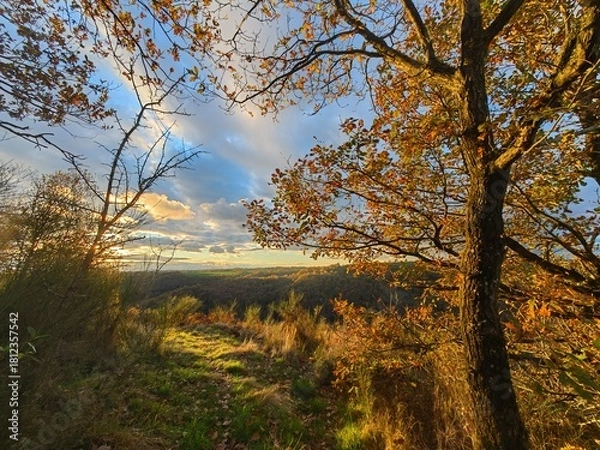 Obraz Wild fall Landscape in sunlight