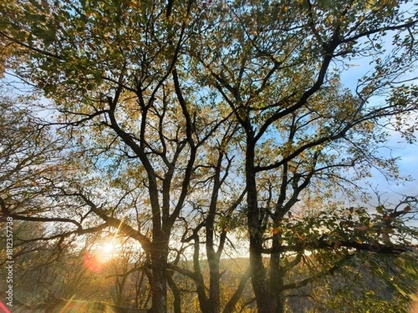 Obraz Wild fall Landscape in sunlight