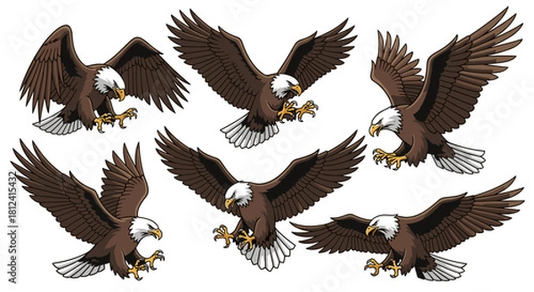 Fototapeta Set of illustrations of bald eagles in various flying and diving poses against a white background.