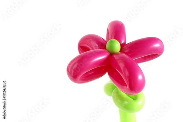 Fototapeta A flower made of balloons stands on a white background.