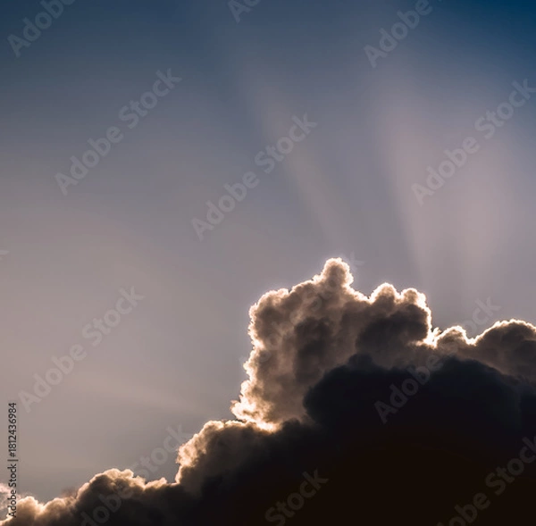 Obraz silver linning