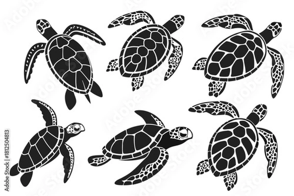 Fototapeta Minimal sea turtle outline icon set with vibrant colors
