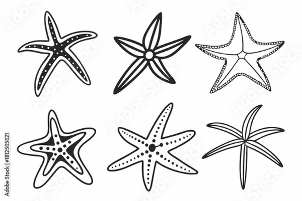 Fototapeta Modern minimalist starfish icon set for marine and nautical designs