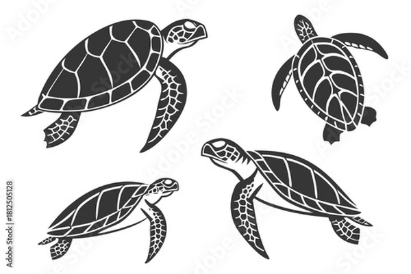 Obraz Minimalist turtle icon set with outline and color variations