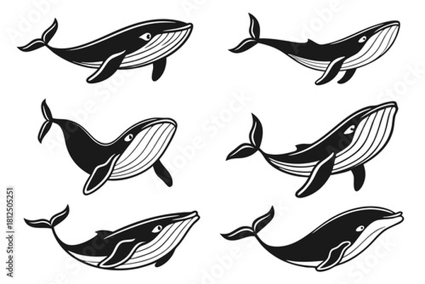 Fototapeta Minimalist whale line art icon set with vibrant color accents