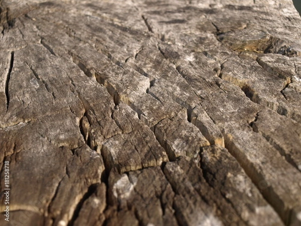 Obraz OLYMPUS DIGITAL CAMERA