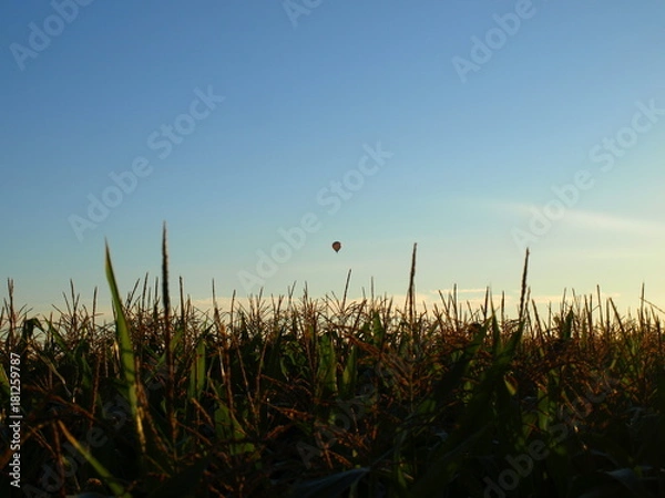 Obraz OLYMPUS DIGITAL CAMERA