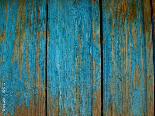 Obraz OLYMPUS DIGITAL CAMERA