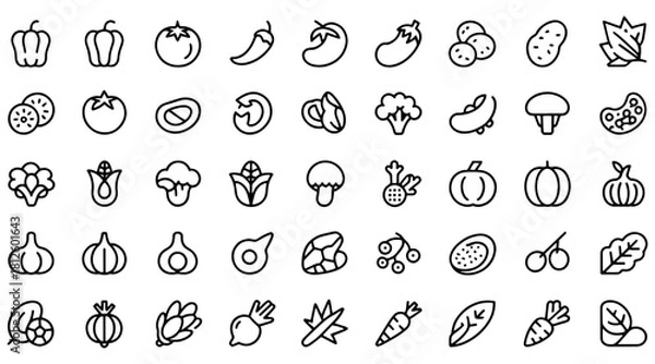 Obraz Set of minimalist vegetable icons simple line art vector design for food related projects isolated on white background